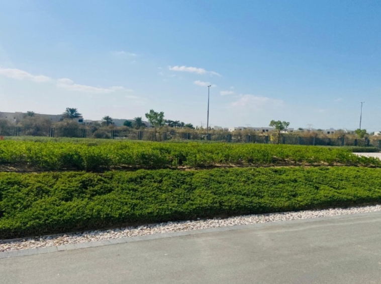 Villa for Rent located at Cherrywoods, Dubailand